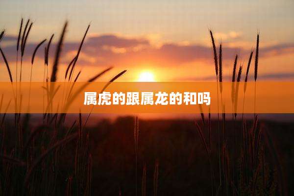 属虎的跟属龙的和吗
