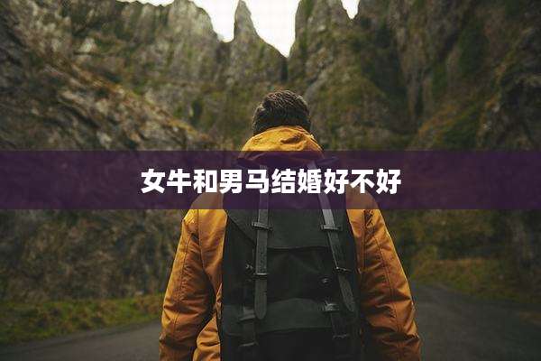 女牛和男马结婚好不好