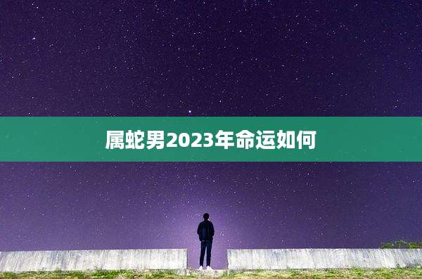 属蛇男2023年命运如何