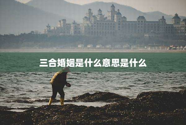 三合婚姻是什么意思是什么
