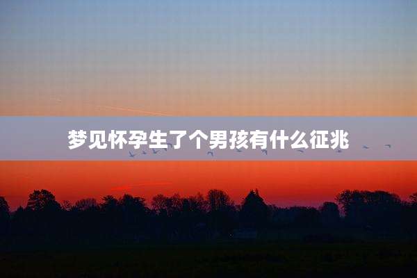 梦见怀孕生了个男孩有什么征兆