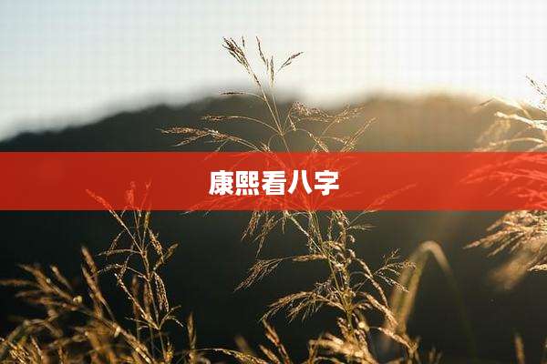 康熙看八字