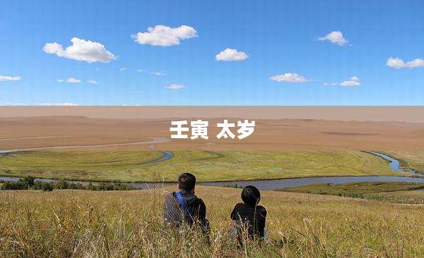 壬寅 太岁