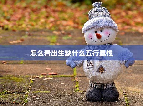 怎么看出生缺什么五行属性