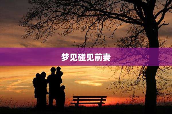 梦见碰见前妻