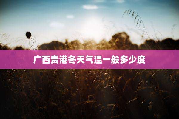 广西贵港冬天气温一般多少度