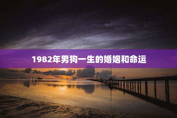 1982年男狗一生的婚姻和命运