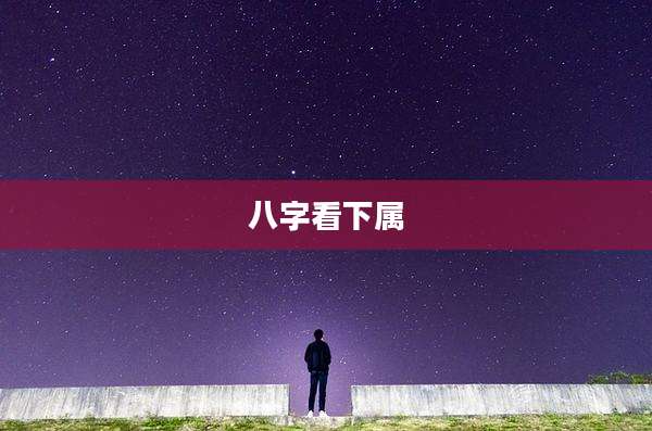八字看下属
