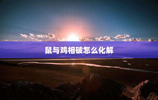 鼠与鸡相破怎么化解