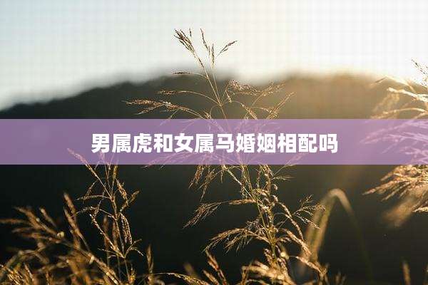 男属虎和女属马婚姻相配吗