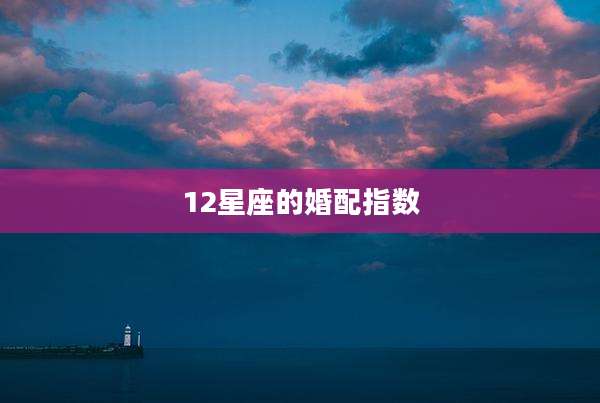 12星座的婚配指数