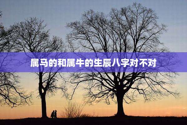属马的和属牛的生辰八字对不对