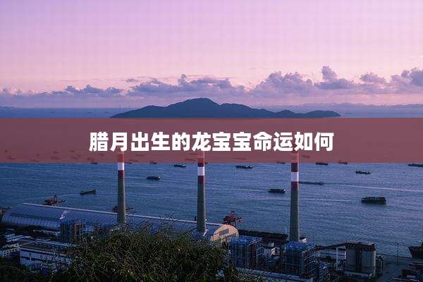 腊月出生的龙宝宝命运如何