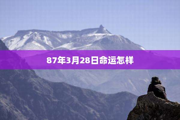 87年3月28日命运怎样
