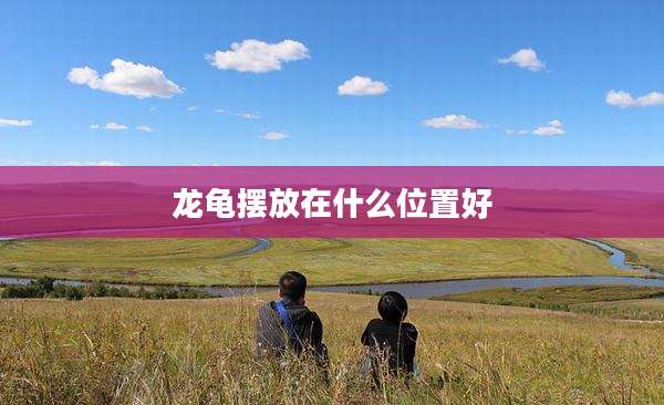 龙龟摆放在什么位置好