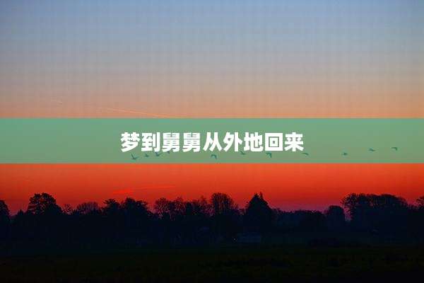 梦到舅舅从外地回来