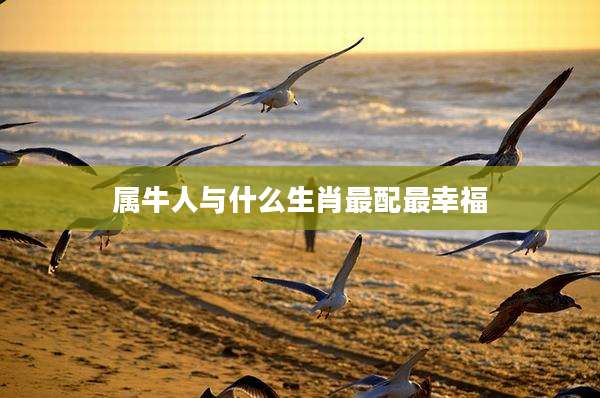 属牛人与什么生肖最配最幸福