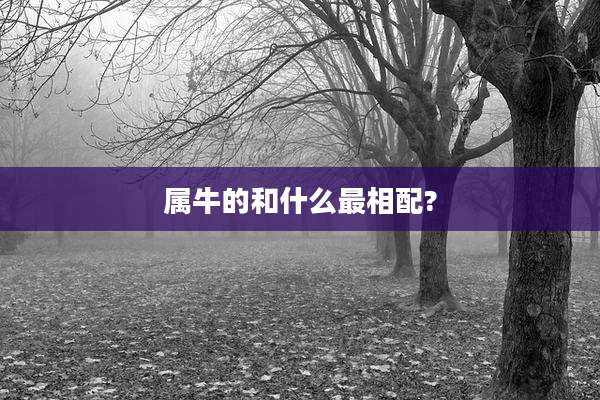 属牛的和什么最相配?