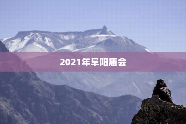 2021年阜阳庙会