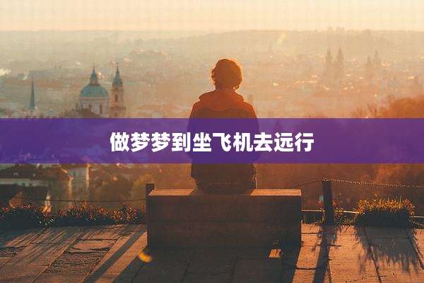 做梦梦到坐飞机去远行
