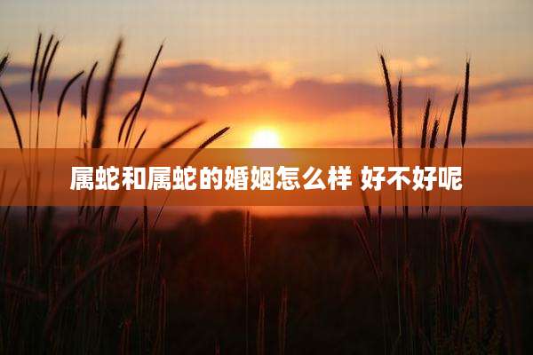 属蛇和属蛇的婚姻怎么样 好不好呢