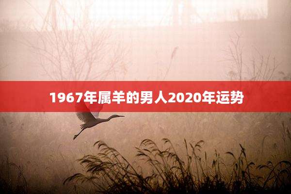 1967年属羊的男人2020年运势