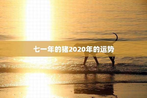 七一年的猪2020年的运势