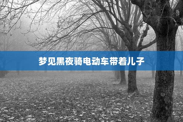梦见黑夜骑电动车带着儿子