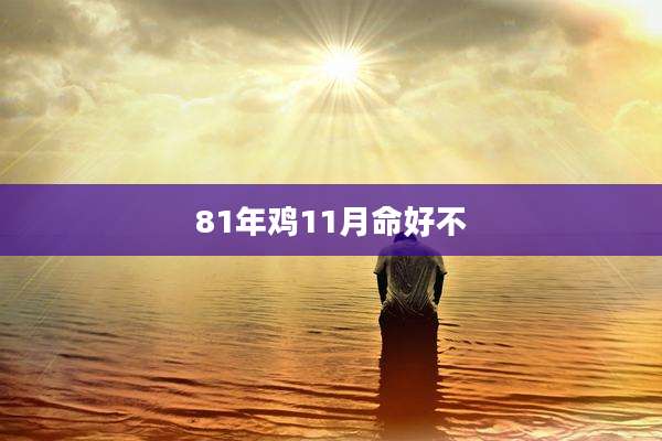 81年鸡11月命好不