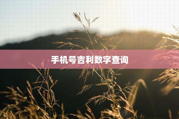 手机号吉利数字查询