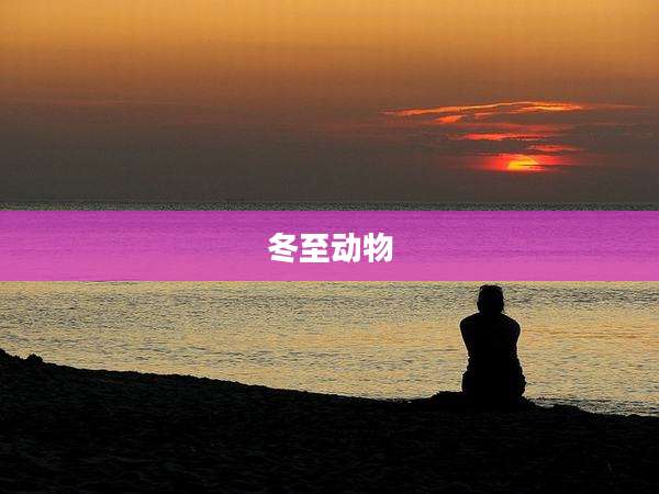 冬至动物