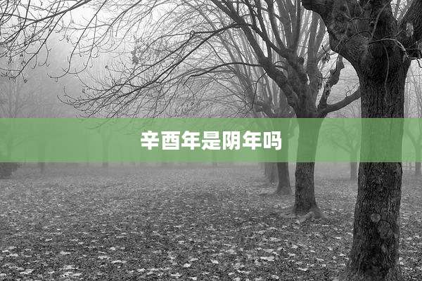 辛酉年是阴年吗