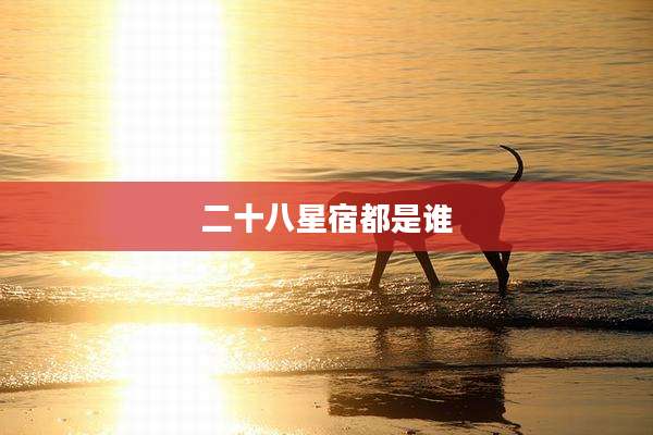 二十八星宿都是谁