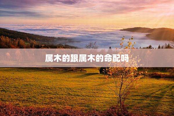 属木的跟属木的命配吗