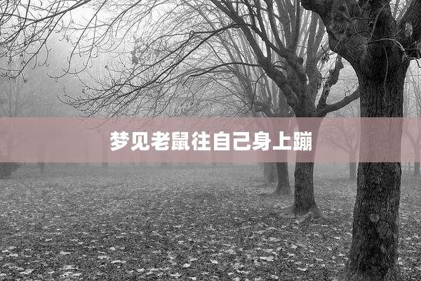 梦见老鼠往自己身上蹦
