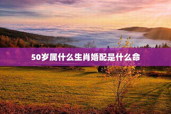 50岁属什么生肖婚配是什么命
