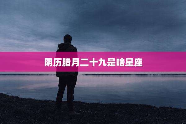 阴历腊月二十九是啥星座