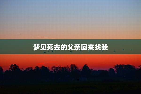 梦见死去的父亲回来找我