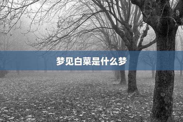梦见白菜是什么梦