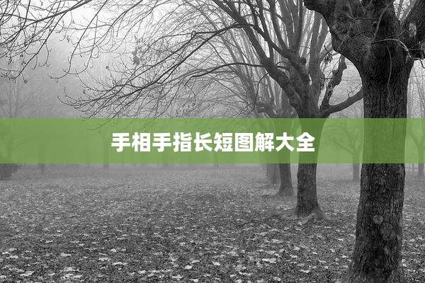 手相手指长短图解大全