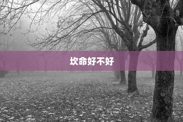 坎命好不好