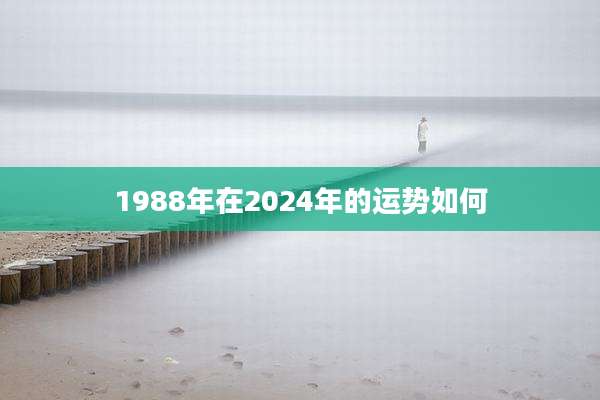 1988年在2024年的运势如何