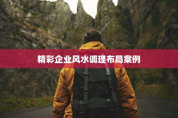 精彩企业风水调理布局案例