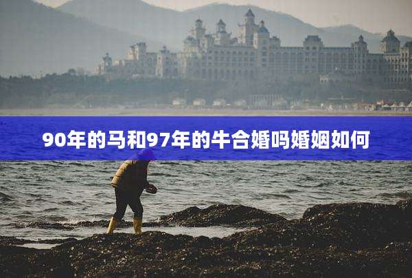 90年的马和97年的牛合婚吗婚姻如何
