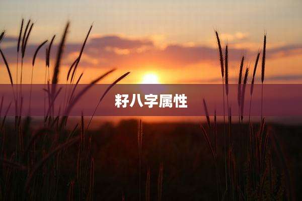 籽八字属性