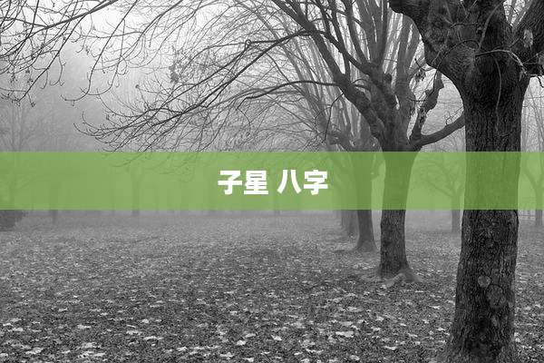 子星 八字