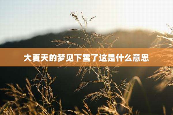 大夏天的梦见下雪了这是什么意思