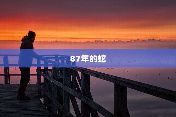 87年的蛇