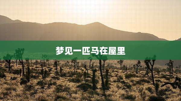 梦见一匹马在屋里