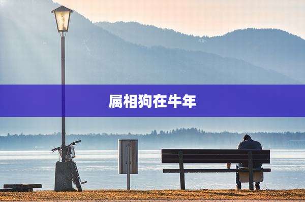 属相狗在牛年